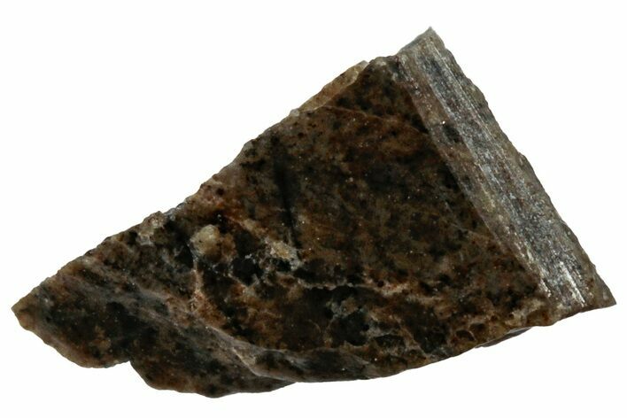Rare, Lunar Basaltic Breccia Meteorite ( g) Slice - NWA #308443